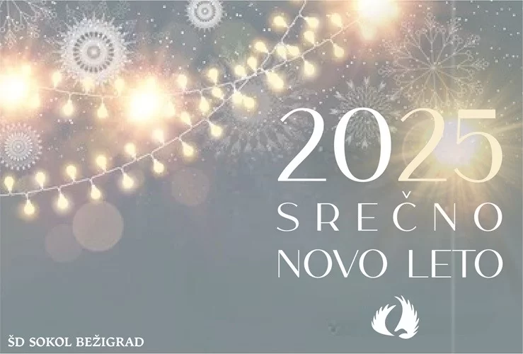 Lepe praznike in vse dobro v novem letu!